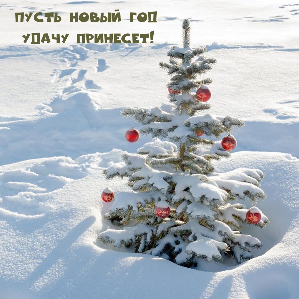 Пусть Новый год удачу принесет!