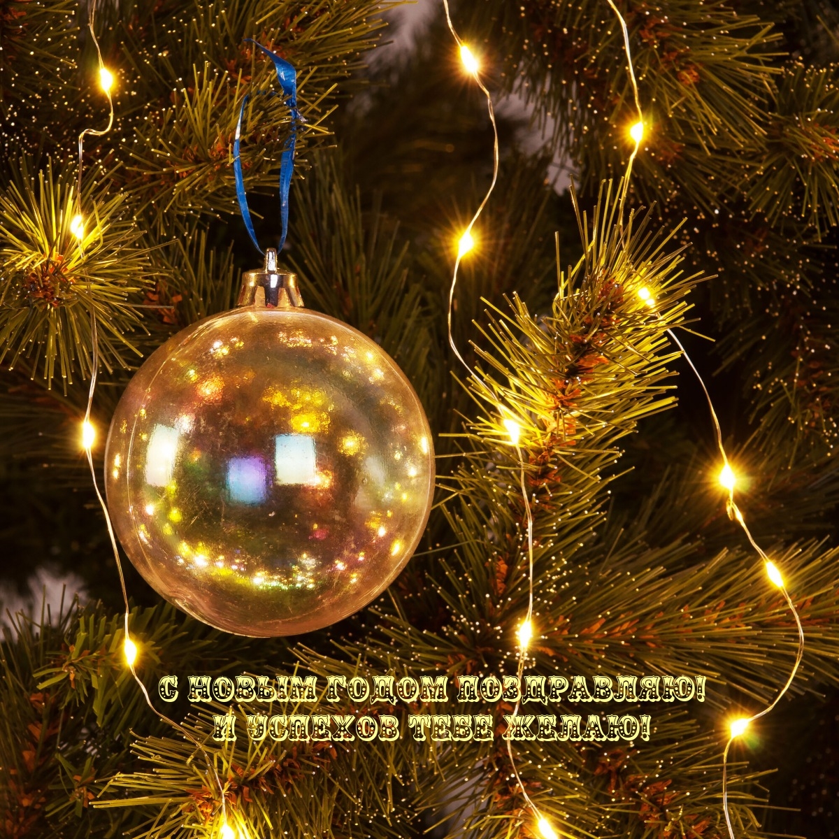 С Новым годом поздравляю! И успехов тебе желаю!