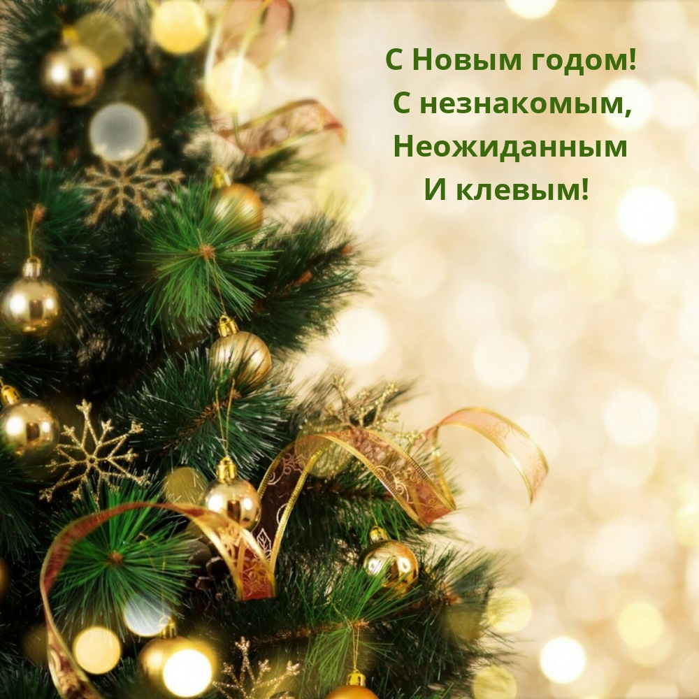 С Новым годом! С незнакомым, неожиданным и клевым!