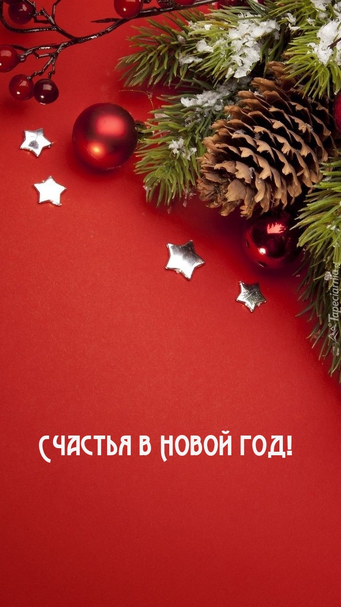 Счастья в Новой год!