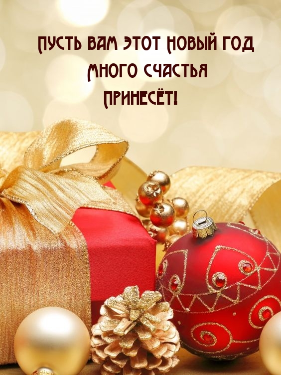 Пусть вам этот Новый год много счастья принесёт!