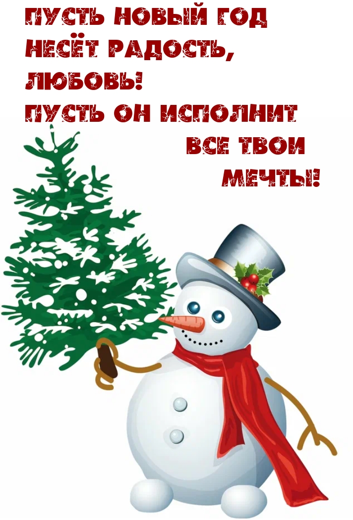 Пусть новый год несёт радость, любовь!