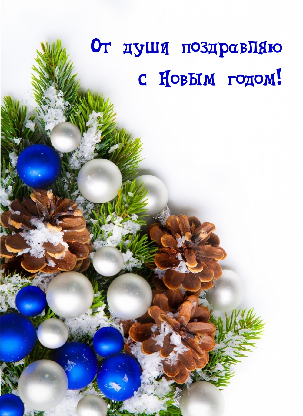 От души поздравляю с Новым годом!