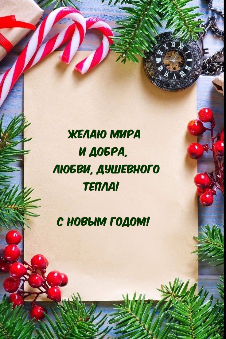 Желаю мира и добра, любви, душевного тепла! С новым годом!