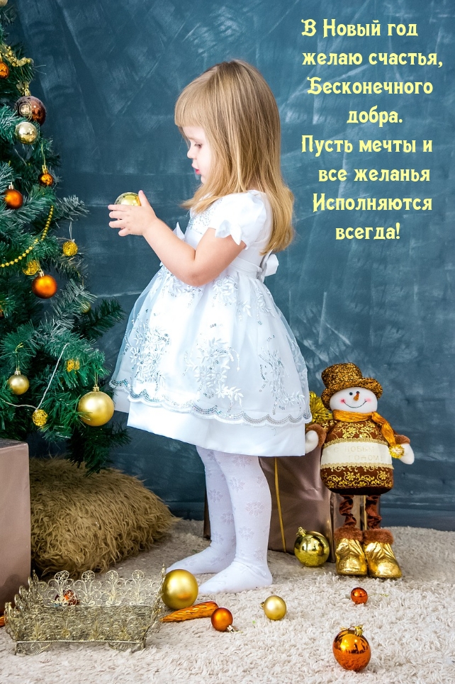 В Новый год желаю счастья, бесконечного добра.