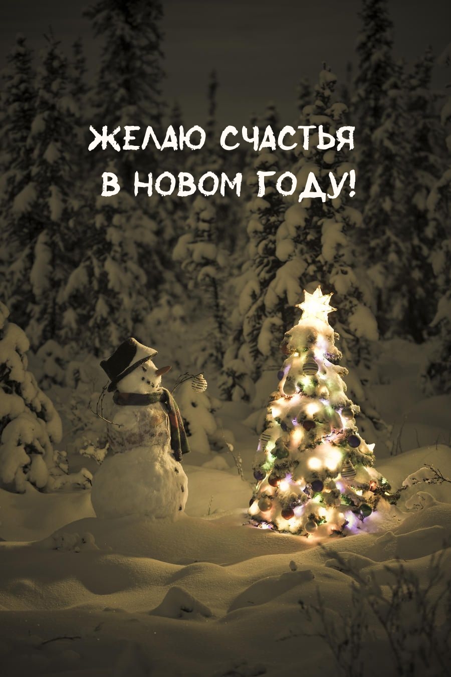 Желаю счастья в новом году!
