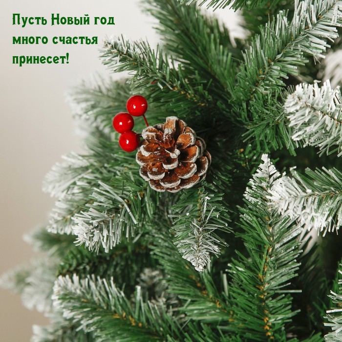 Пусть Новый год много счастья принесет!