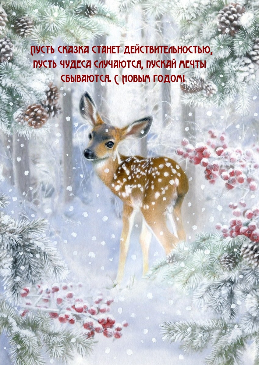 С Новым годом! Пусть сказка станет действительностью