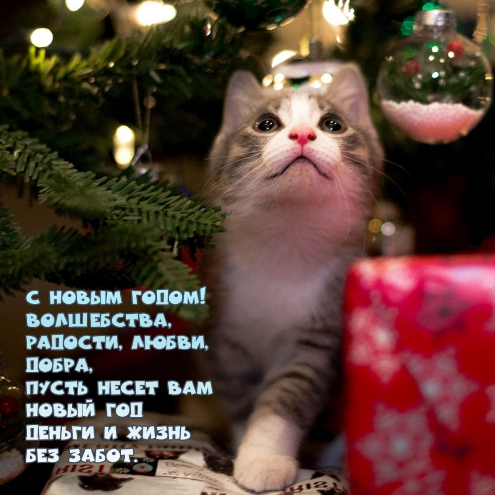 С Новым годом! Волшебства, радости, любви, добра