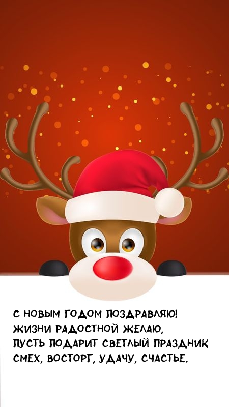С Новым годом поздравляю! Жизни радостной желаю