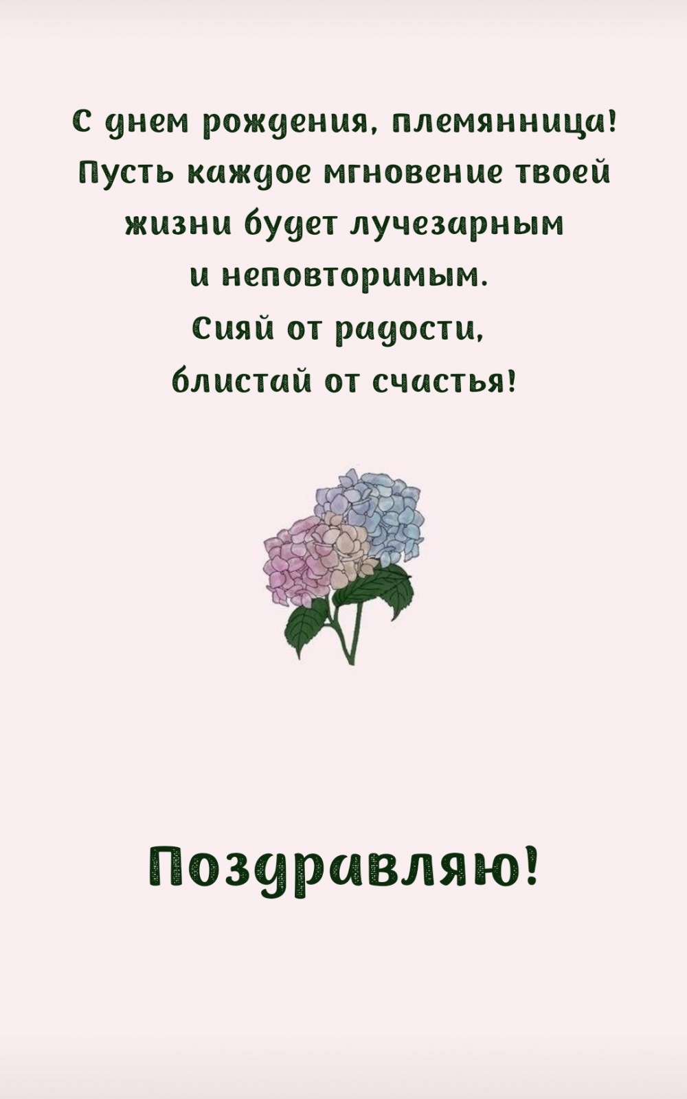 С днем рождения, племянница! Пусть каждое мгновение будет лучезарным 