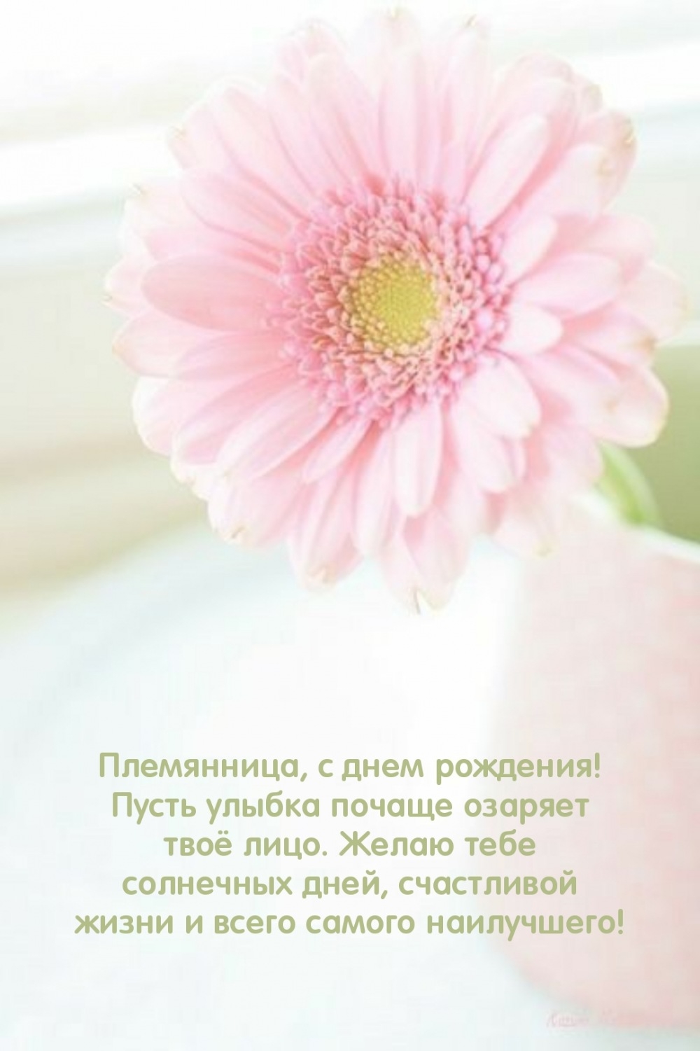 Племянница, с днем рождения! Пусть улыбка почаще озаряет лицо. 