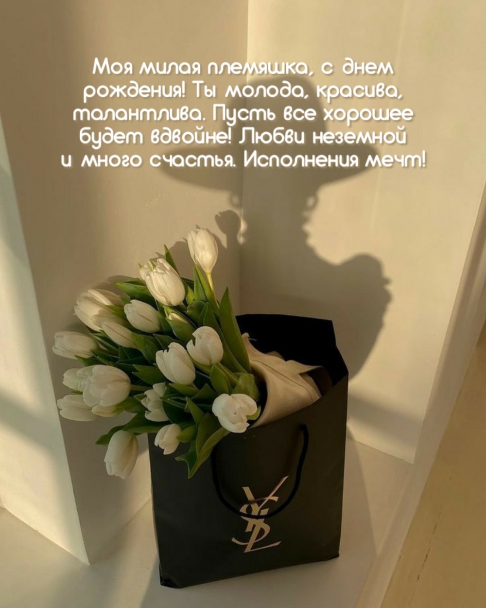 Моя милая племяшка, с днем рождения! Ты молода, красива