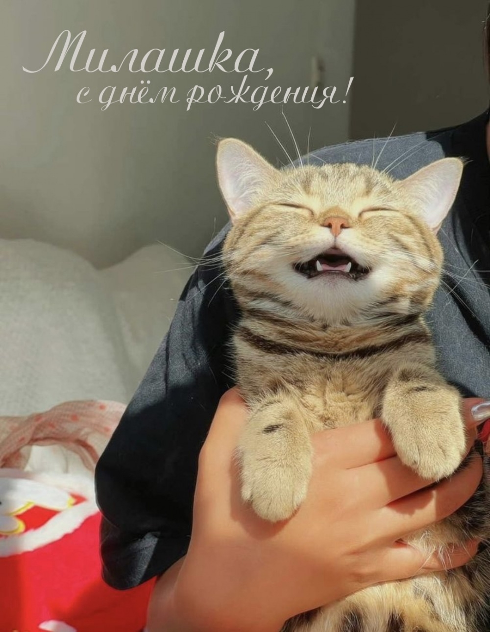 Милашка, с днём рождения!