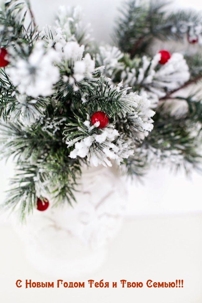 С Новым Годом Тебя и Твою Семью!