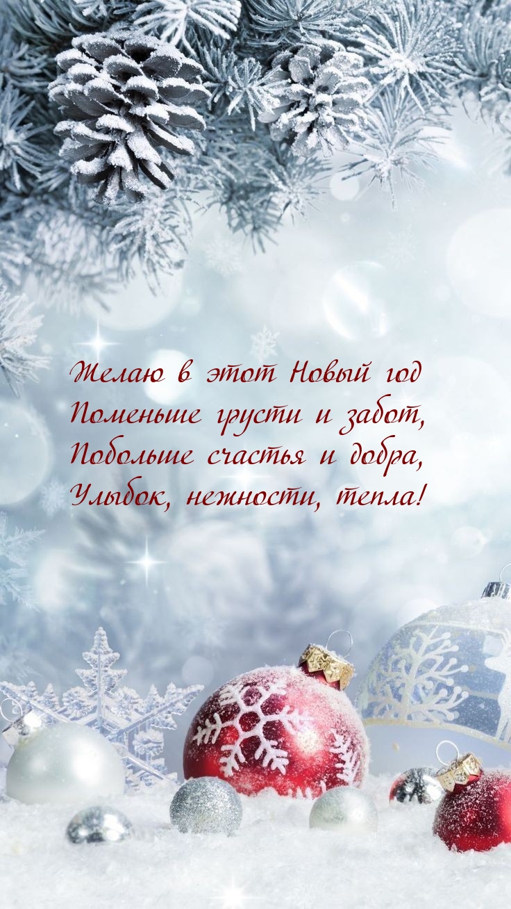 Желаю в этот Новый год поменьше грусти и забот