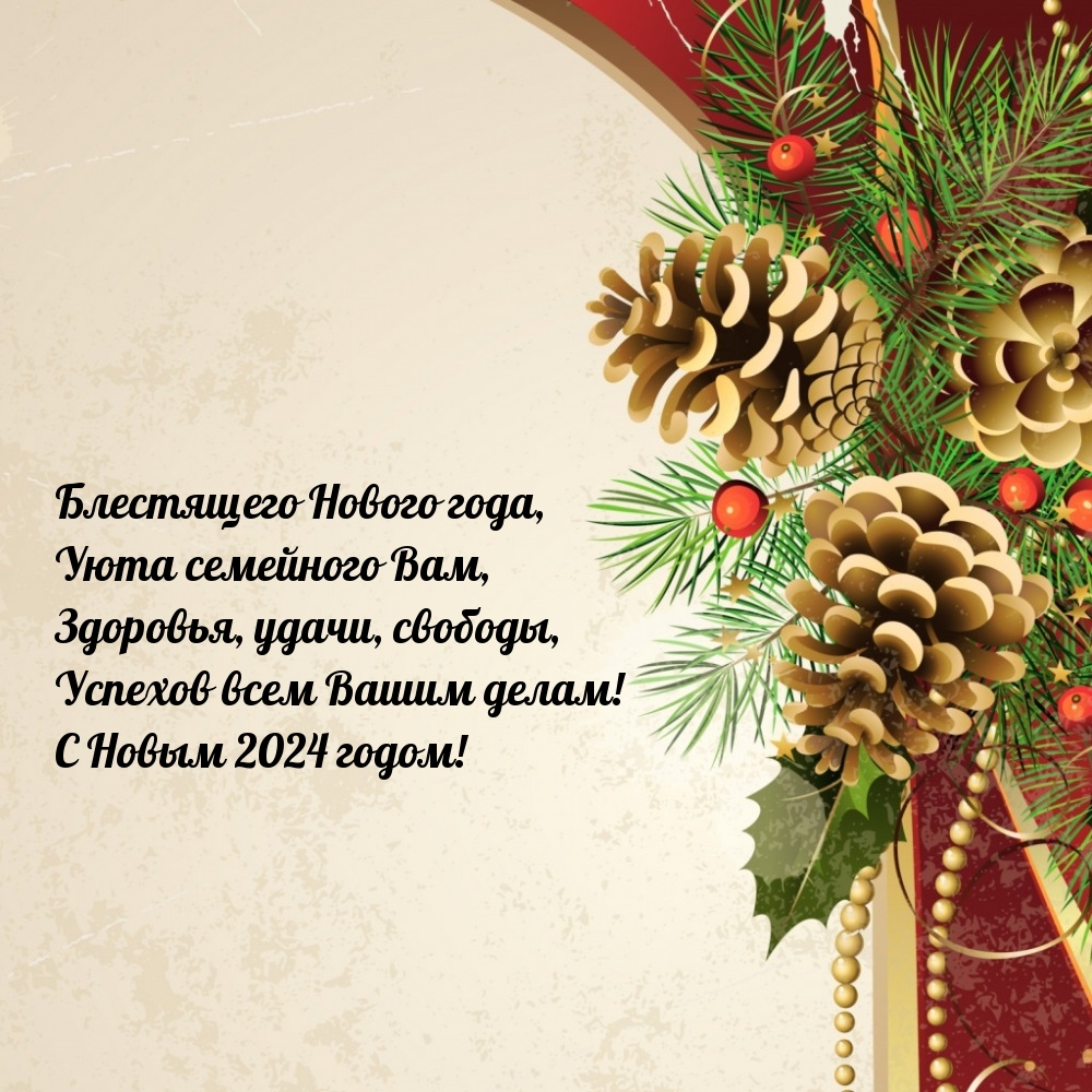 С Новым 2024 годом! Здоровья, удачи, свободы