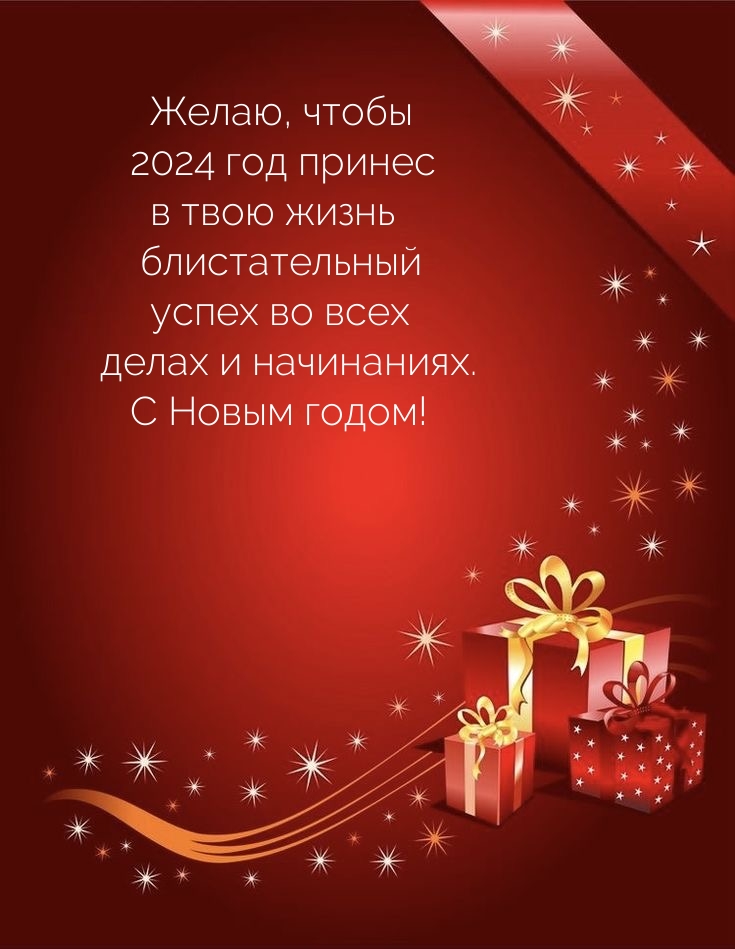 Желаю, чтобы 2024 год принес в жизнь блистательный успех