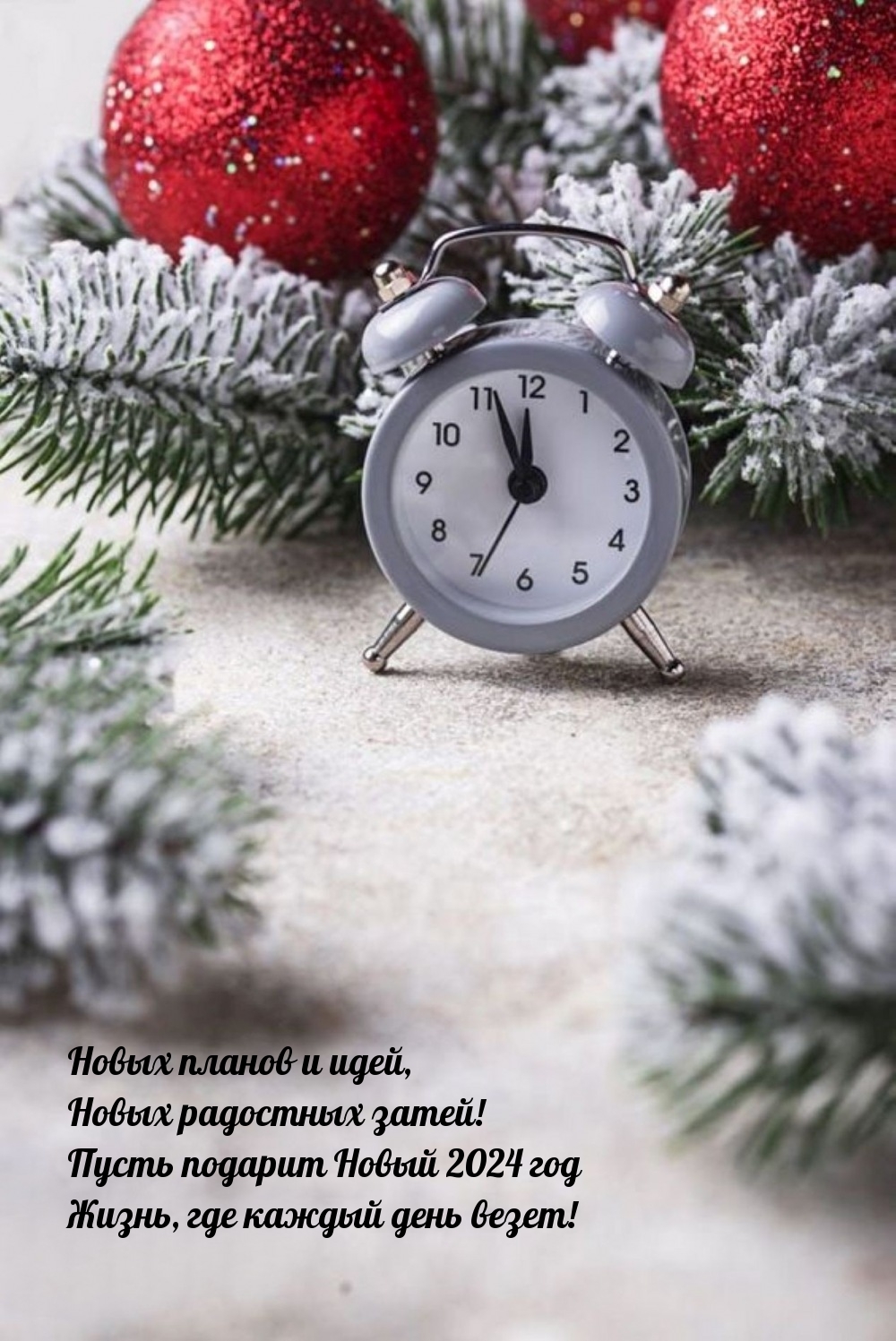 Пусть подарит Новый 2024 год жизнь, где каждый день везет!