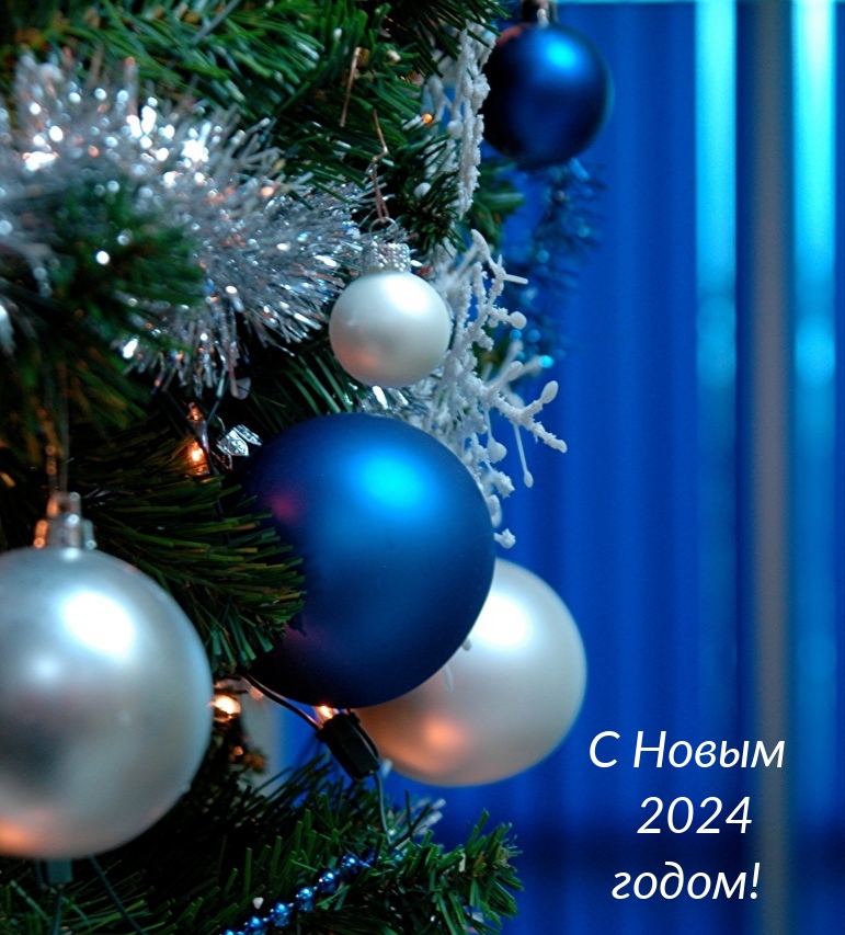 С Новым 2024 годом!