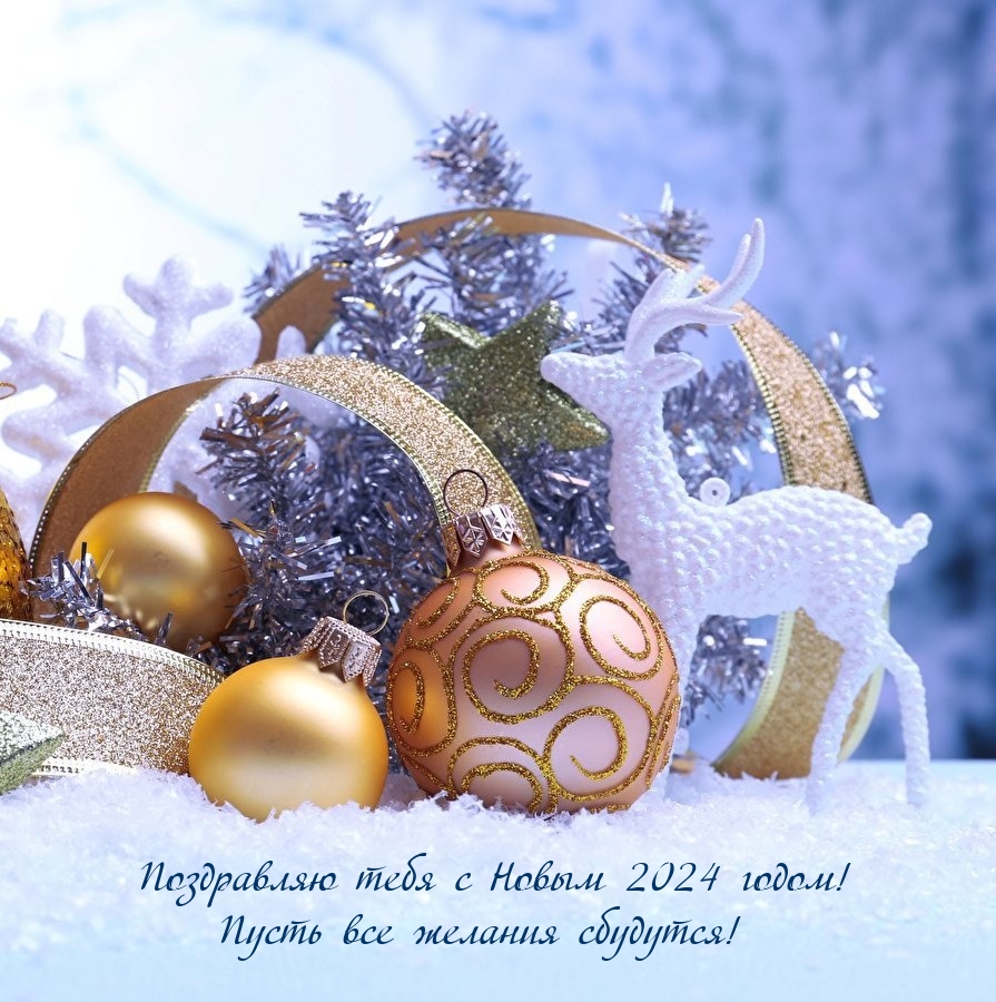 С Новым 2024 годом! Пусть все желания сбудутся!