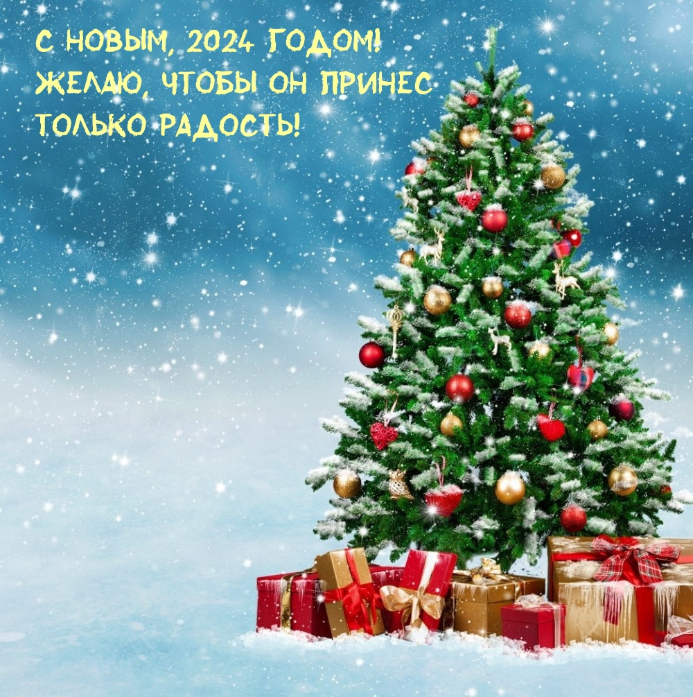 С Новым, 2024 годом! Желаю, чтобы он принес только радость!