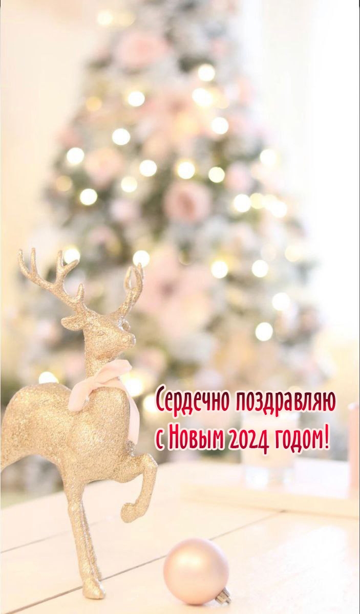 Сердечно поздравляю с Новым 2024 годом! 