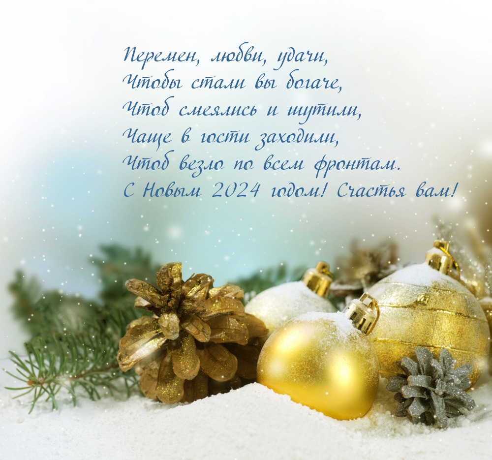 С Новым 2024 годом! Счастья вам!