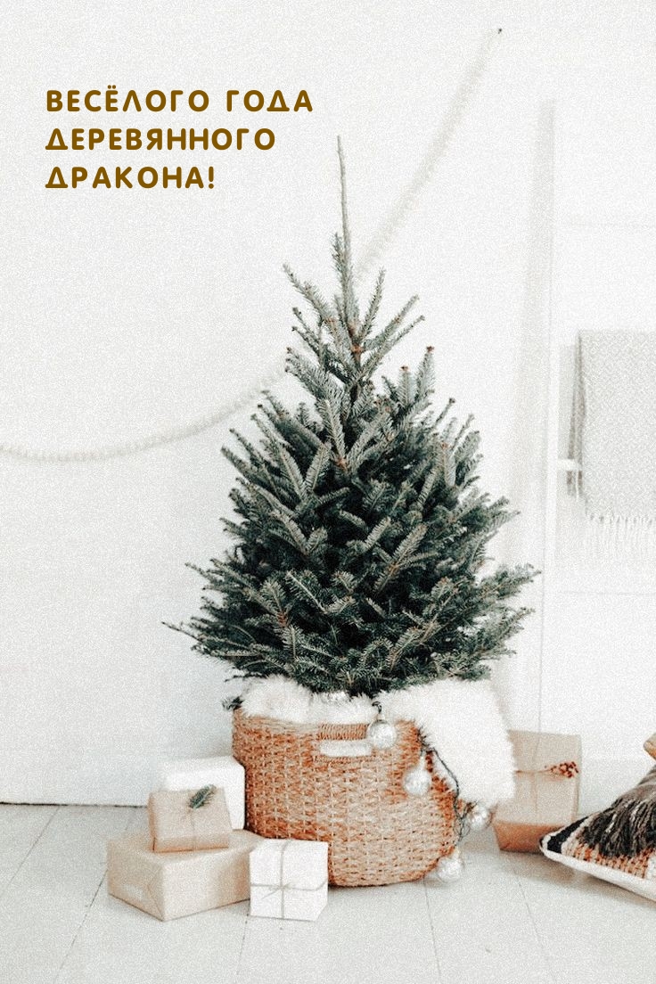 Весёлого Года Деревянного Дракона!