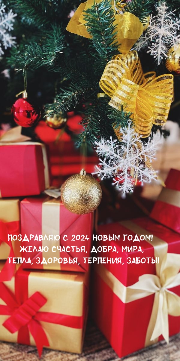 С 2024 Новым годом! Желаю счастья, добра, мира