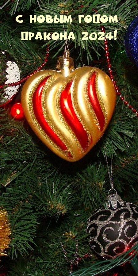 С Новым годом Дракона 2024!