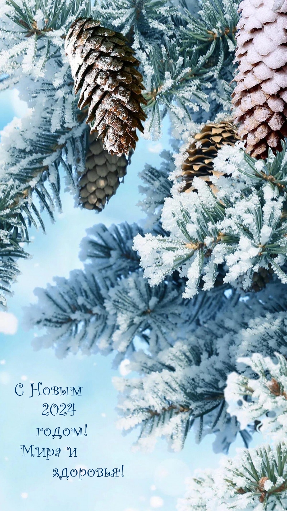 С Новым 2024 годом! Мира и здоровья!