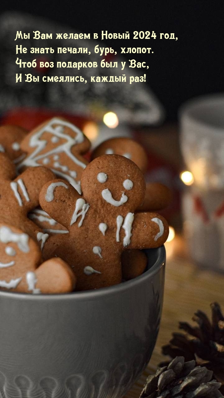Мы Вам желаем в Новый 2024 год, не знать печали, бурь, хлопот.