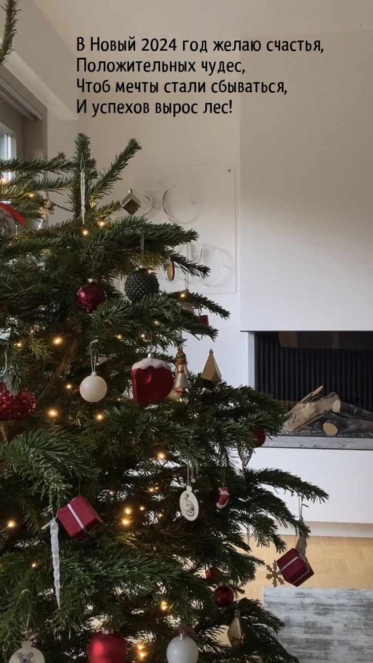 В Новый 2024 год желаю счастья, положительных чудес