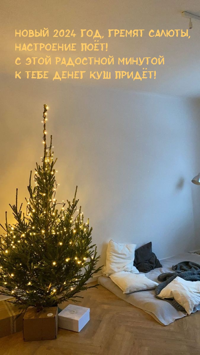 Новый 2024 год, гремят салюты, настроение поёт!