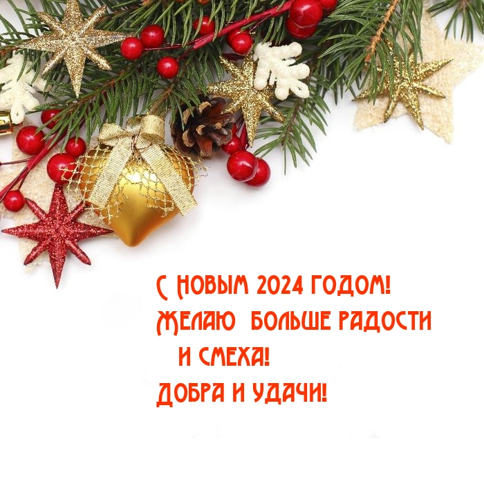 С Новым 2024 годом! Желаю больше радости и смеха!