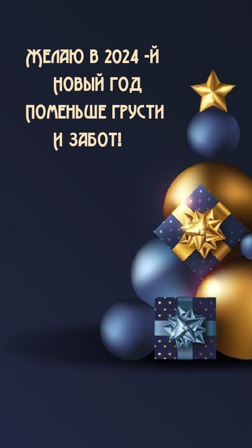 Желаю в 2024-й Новый год поменьше грусти и забот!