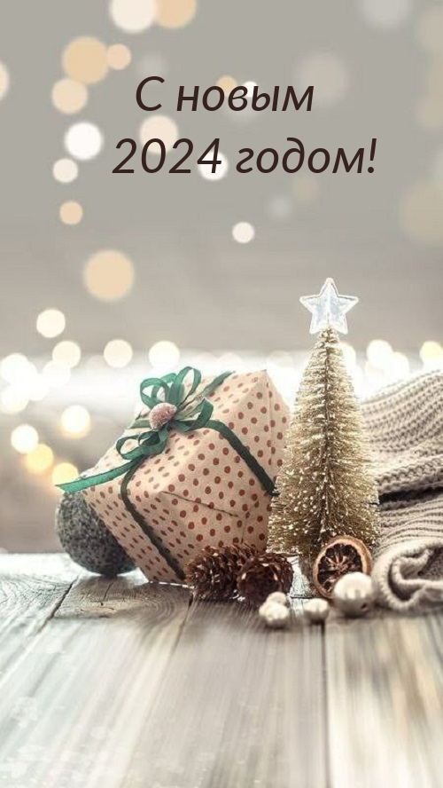 С новым 2024 годом!