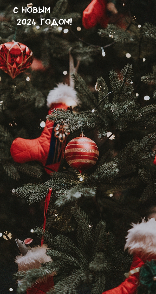 С Новым 2024 годом!