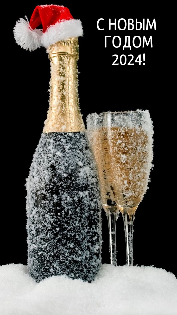 С новым годом 2024!