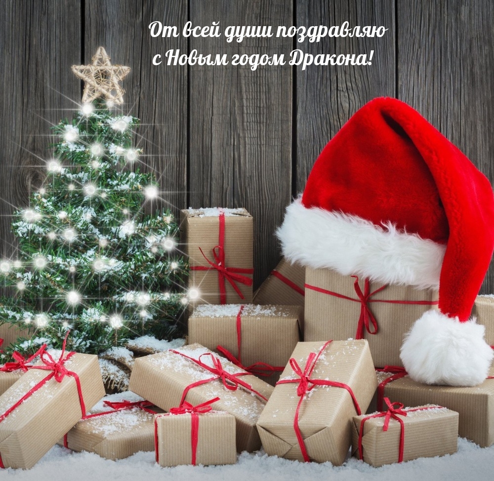 От всей души поздравляю с Новым годом Дракона! 