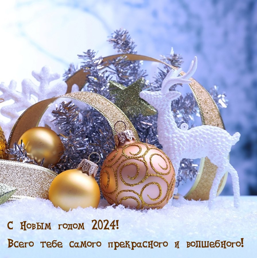 С Новым годом 2024! Всего самого прекрасного и волшебного!