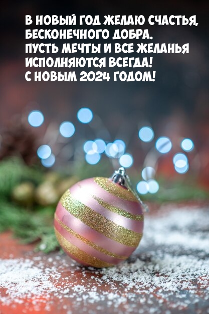 В Новый 2024 год желаю счастья, бесконечного добра. 