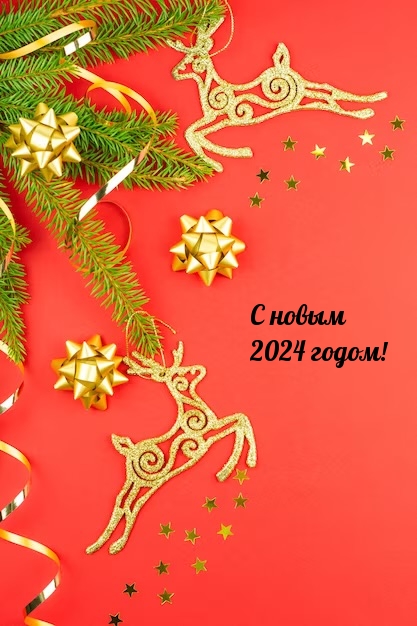 С новым 2024 годом!