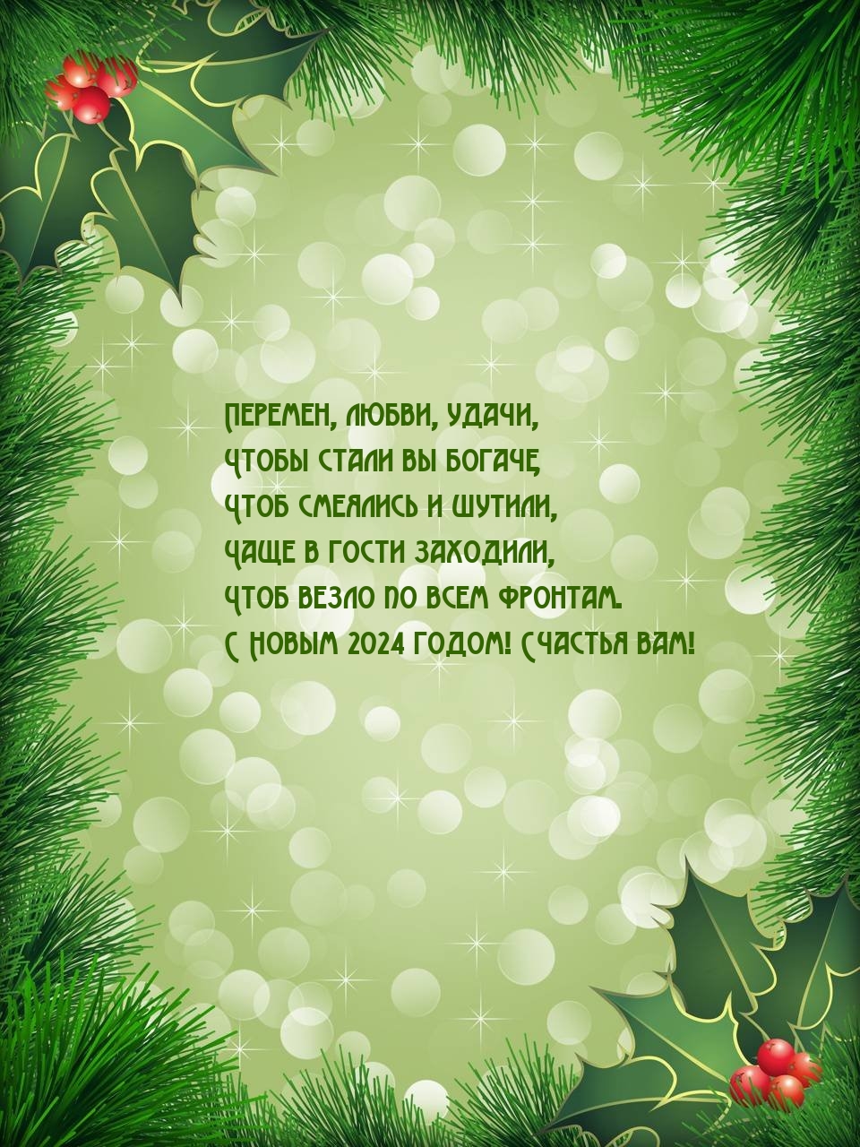 С Новым 2024 годом! Счастья вам!