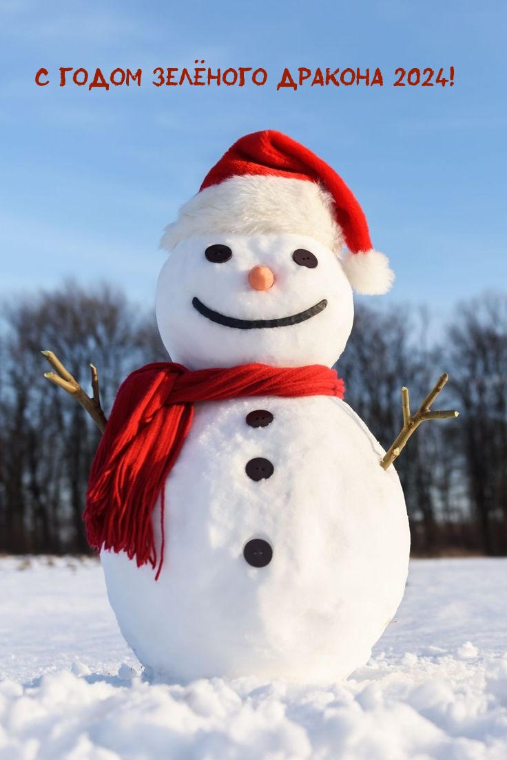 С Годом Зелёного Дракона 2024!