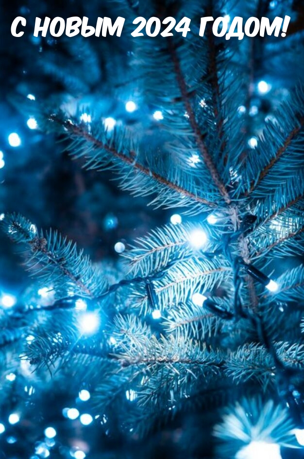 С Новым 2024 годом!