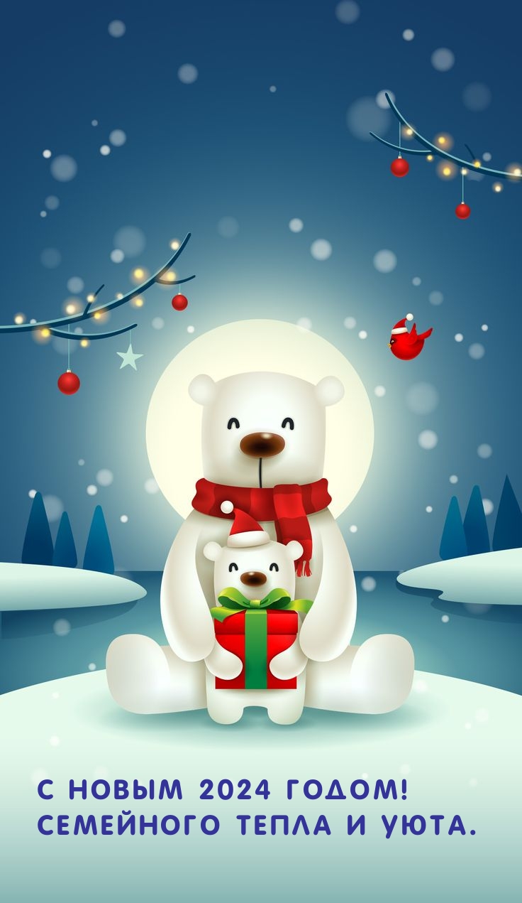 С новым 2024 годом! Семейного тепла и уюта.