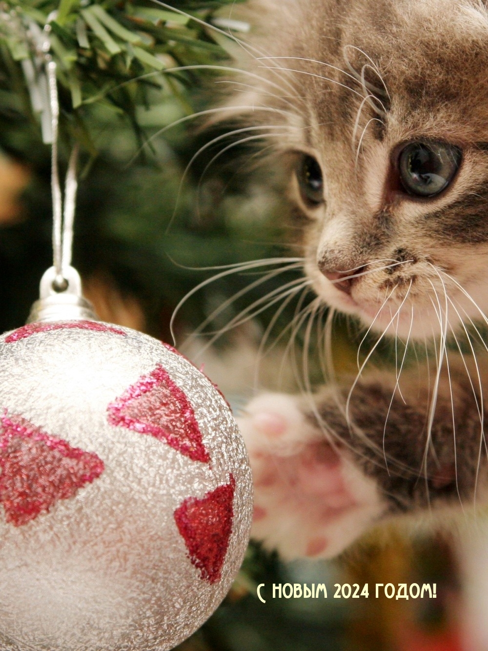 С новым 2024 годом!