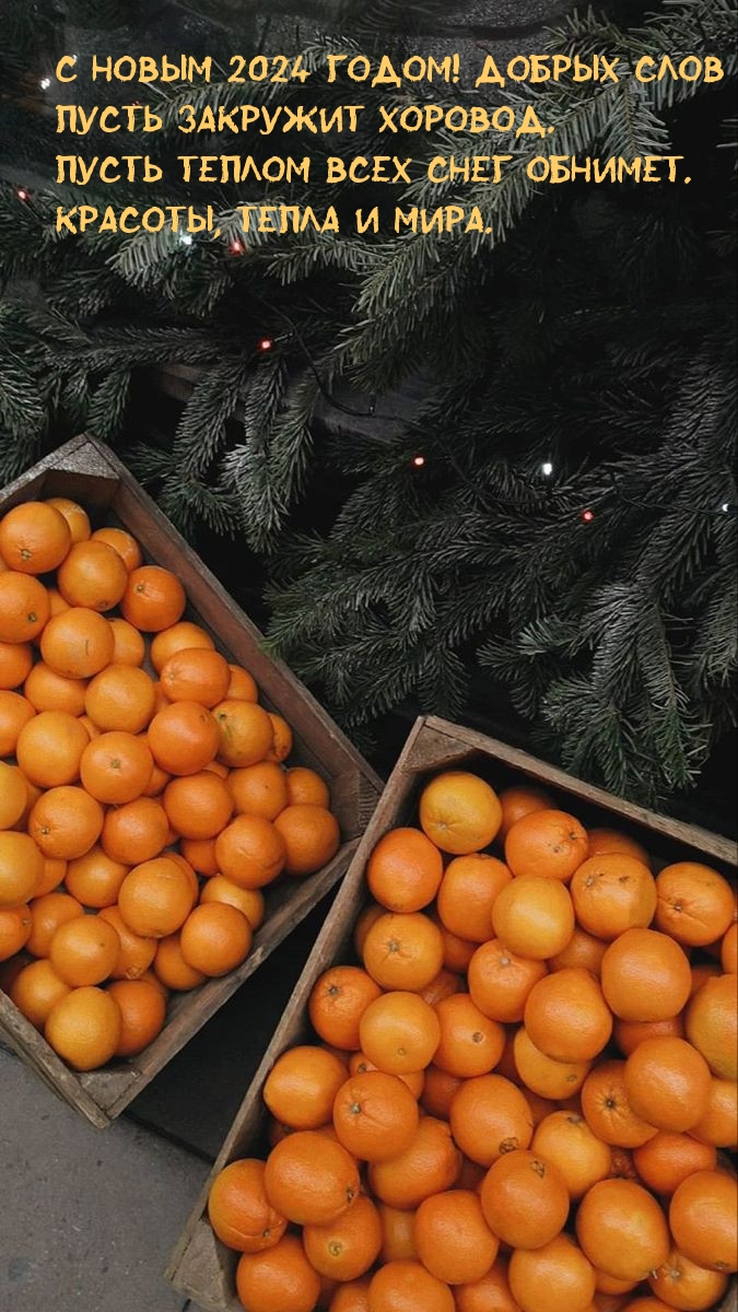 С Новым 2024 годом! Добрых слов пусть закружит хоровод.